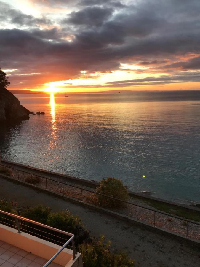 Appartement Cosy Les Pieds Dans L'Eau, Vue Mer Exceptionnelle Crozon Luaran gambar