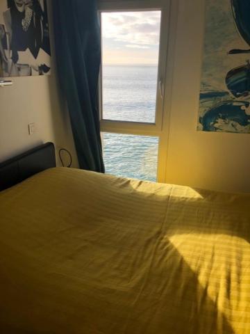 Appartement Cosy Les Pieds Dans L'Eau, Vue Mer Exceptionnelle Crozon Luaran gambar